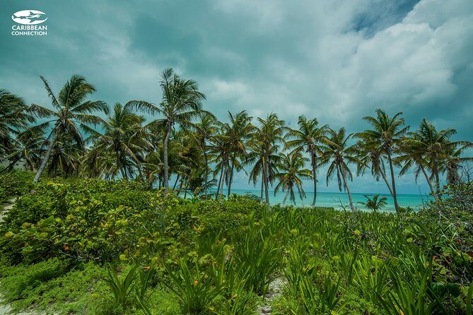 Isla Contoy Eco Adventure - The Bottom Line: Who Should Consider This Tour?