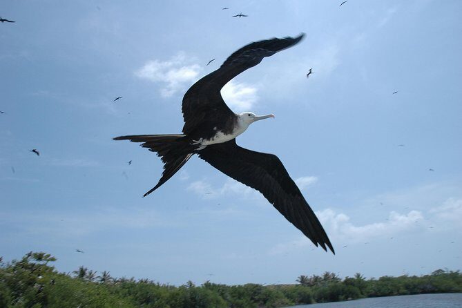 Isla Contoy Eco Adventure - FAQ