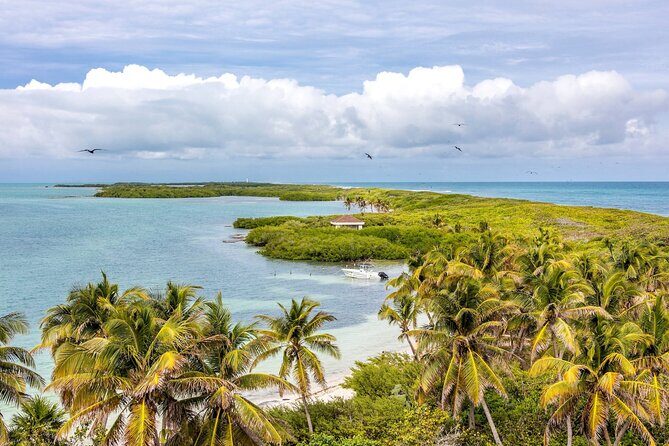 Isla Contoy Experience incl. Breakfast and Lunch - Final Thoughts