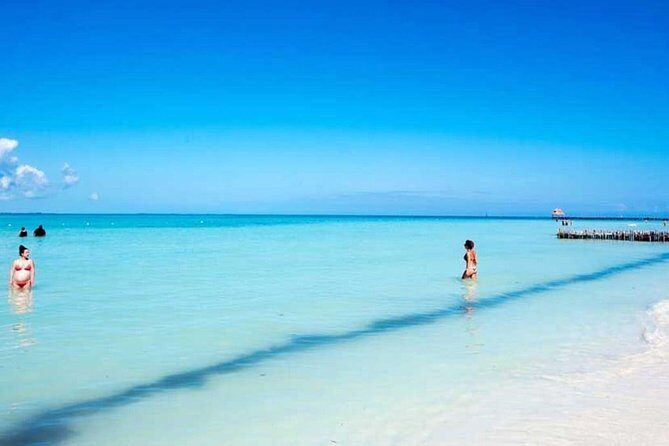 Isla Contoy! Explore a Bird Sanctuary from Cancun - The Experience: A Complete Look at the Day