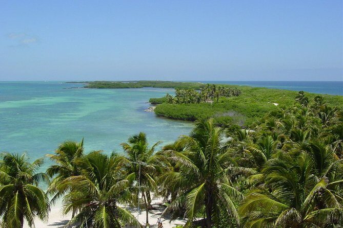 Isla Contoy Incredible Tour! Round Transportation From Cancun & Playa Del Carmen - Practical Tips for Travelers