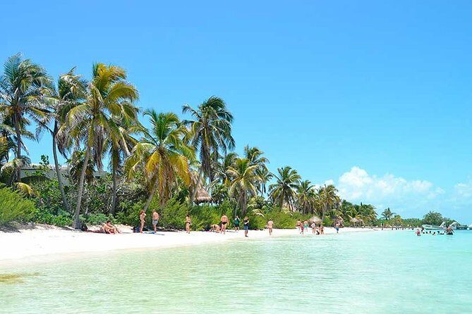 Isla Contoy Incredible Tour! Round Transportation From Cancun & Playa Del Carmen - Who Would Enjoy This Tour?