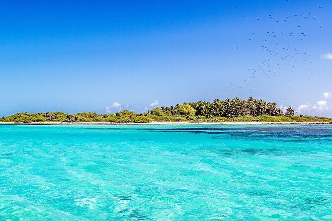 Isla Contoy Incredible Tour! Round Transportation From Cancun & Playa Del Carmen - The Sum Up