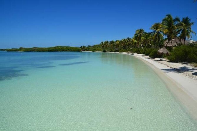 Isla Contoy Incredible Tour! Round Transportation From Cancun & Playa Del Carmen - FAQ