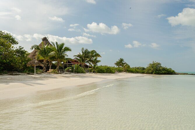 Isla Contoy Private Day Tour, from Cancun - Exploring the Isla Contoy Private Day Tour from Cancun