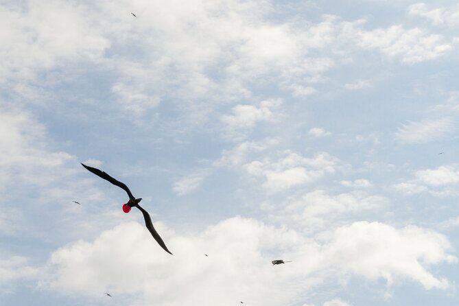 Isla Contoy Private Day Tour, from Cancun - The Value in Context