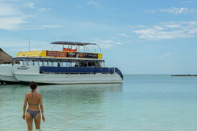 Isla Contoy Snorkeling Experience with Buffet - A Closer Look at the Isla Contoy Snorkeling Experience