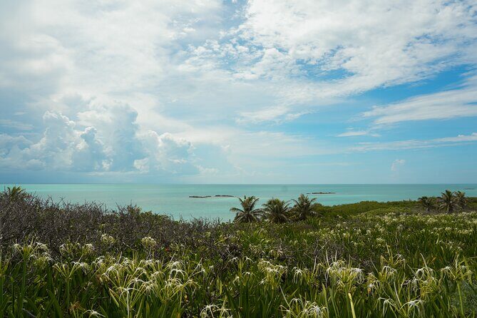 Isla Contoy Snorkeling Experience with Buffet - What to Expect in Terms of Logistics and Experience