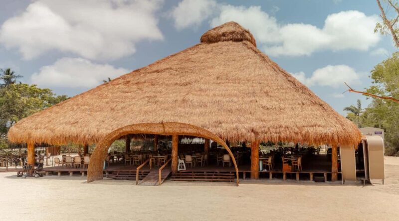 Isla Mia Roots with Tranfer - The Venue and What it Offers