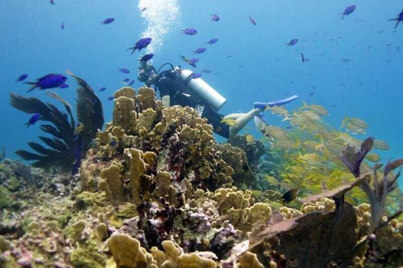 Isla Mujeres: 2-Tank Dive for Certified Divers - Accessibility and Practicalities