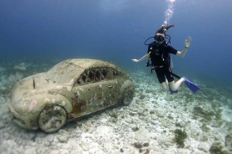 Isla Mujeres: 2-Tank Dive for Certified Divers - The Sum Up
