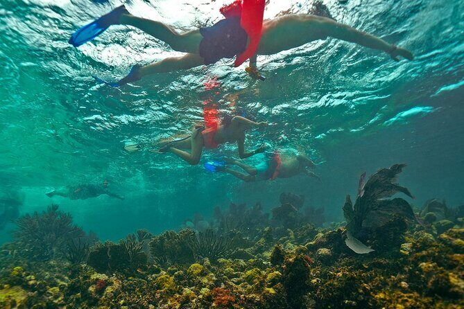 Isla Mujeres All Inclusive from Playa del Carmen - The Practicalities: What You Need to Know