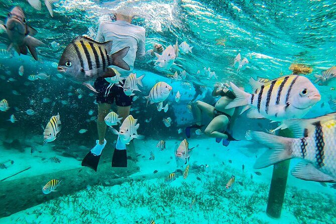 Isla Mujeres and Cancun Snorkeling and Fishing Combo - What You’ll Love About This Experience