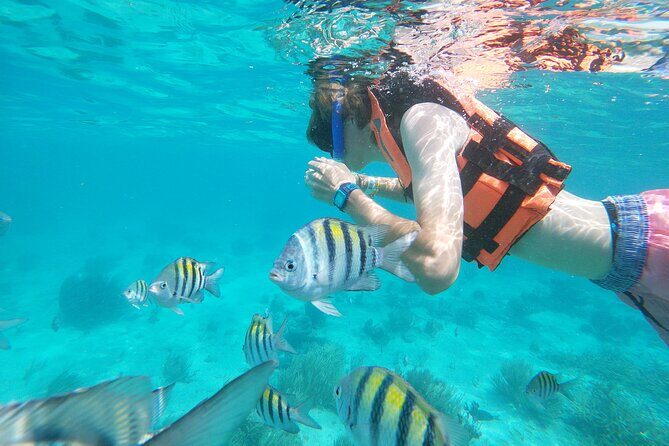 Isla Mujeres and Cancun Snorkeling and Fishing Combo - Final Thoughts: Who Will Enjoy This Tour Most?