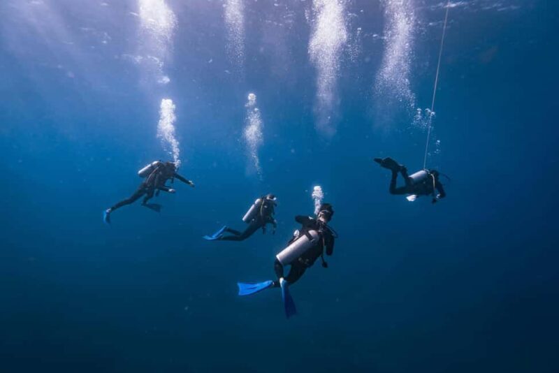 Isla Mujeres: Catamaran Ride with Open Bar, Snorkeling, and Lunch - Key Points