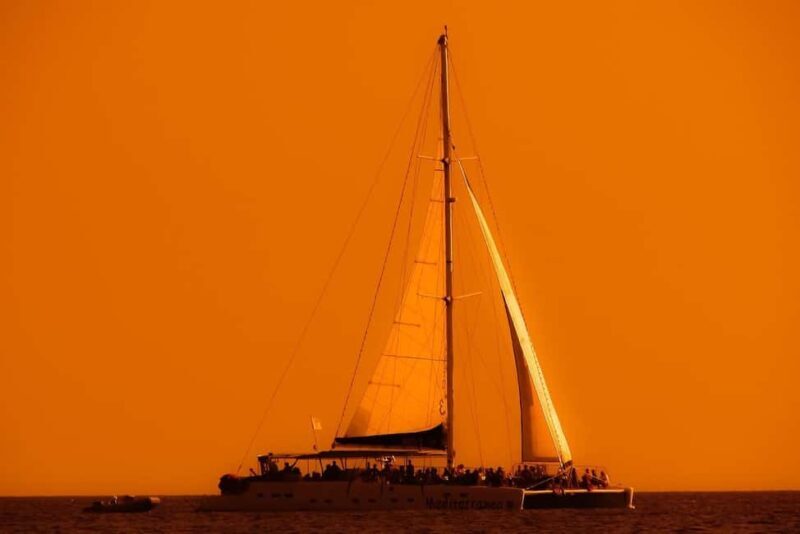 Isla Mujeres: Catamaran Ride with Open Bar, Snorkeling, and Lunch - Who Should Book This Tour?
