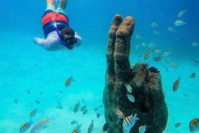 Isla Mujeres Catamaran Tour - Overview of the Experience