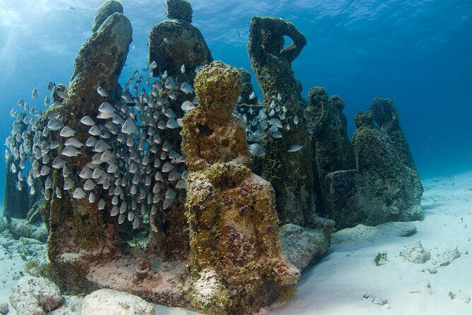 Isla Mujeres Catamaran Tour with Snorkeling at MUSA, Buffet Lunch & Open Bar - Who Should Consider This Tour?