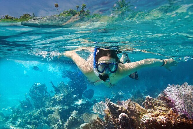 Isla Mujeres Catamaran Tour with Snorkeling, Open Bar & Buffet - The Practicalities: What to Expect
