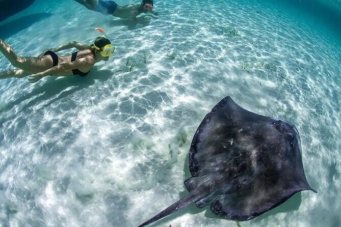 Isla Mujeres: Coral Reef Views from a Clear Boat - How the Tour Unfolds: A Detailed Look at the Itinerary