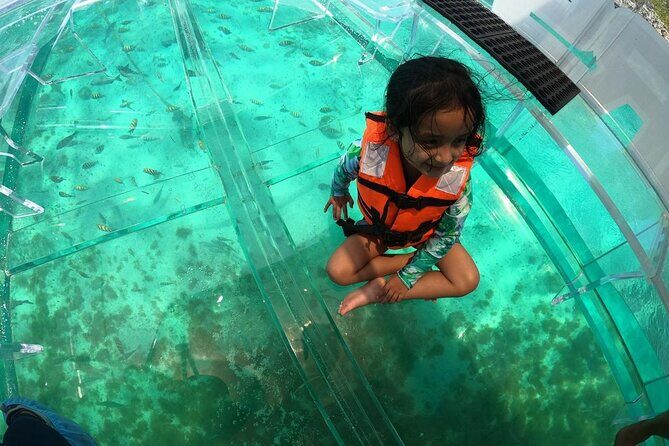 Isla Mujeres: Coral Reef Views from a Clear Boat - Final Thoughts: Who Should Consider This Tour?