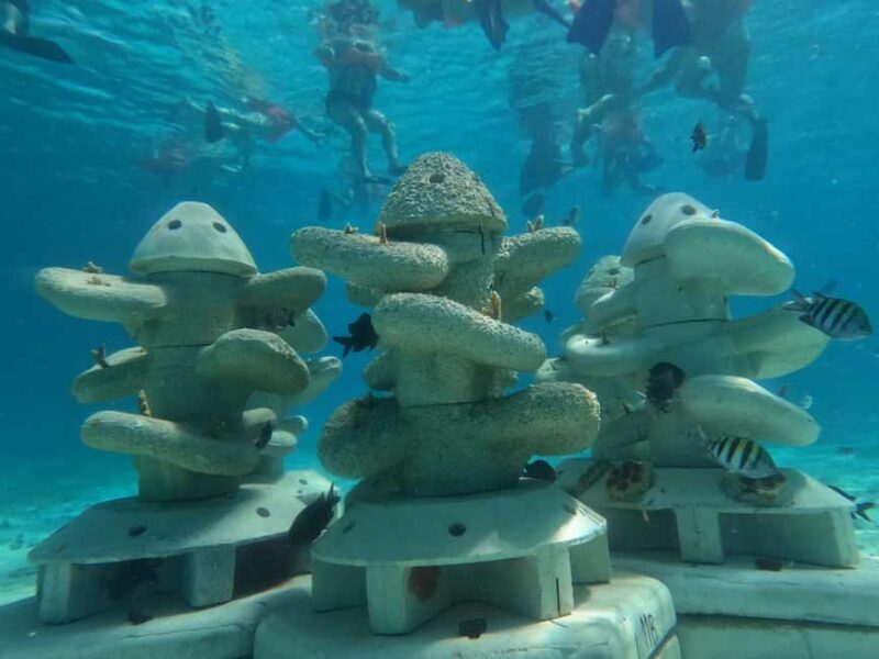 Isla Mujeres: Full Day Private Catamaran with Snorkeling - The Breakdown of the Itinerary
