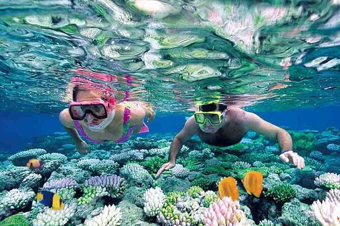 Isla Mujeres Full-Day Tour from Cancun with Lunch - Who Should Consider This Tour?