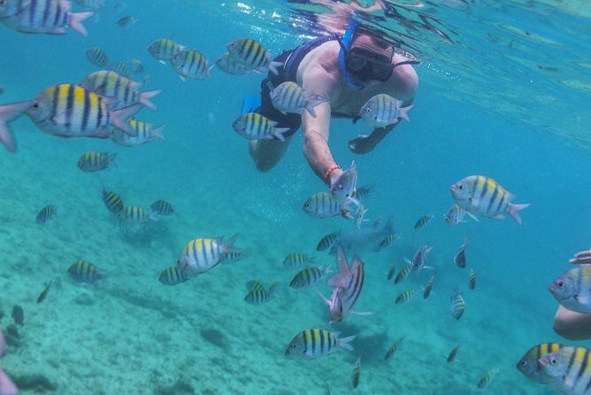Isla Mujeres Luxury Sailing: Adults Only or Family Friendly - The Sum Up