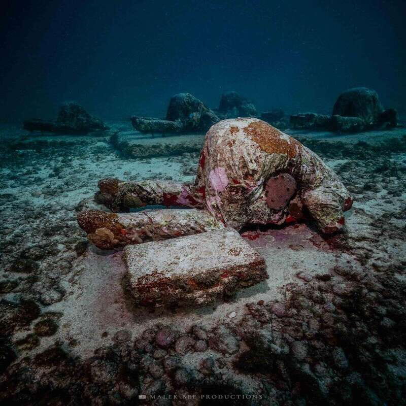 Isla Mujeres: MUSA and the Manchones Reef: 2 Tank Dive Tour - The Experience: What You Can Expect
