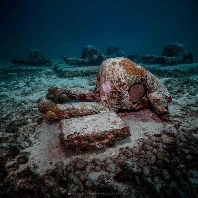 Isla Mujeres: MUSA and the Manchones Reef: 2 Tank Dive Tour - Who Will Love This Tour?