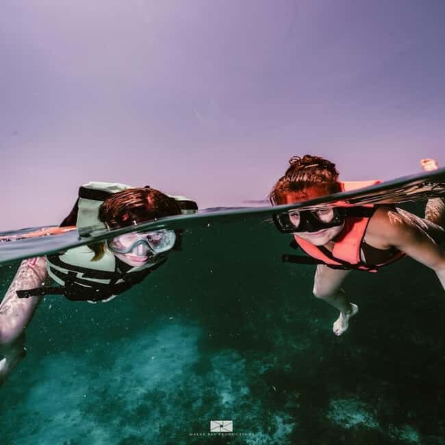 Isla Mujeres - MUSA and the Manchones Reef - Snorkel - An Honest Look at the Tour Experience