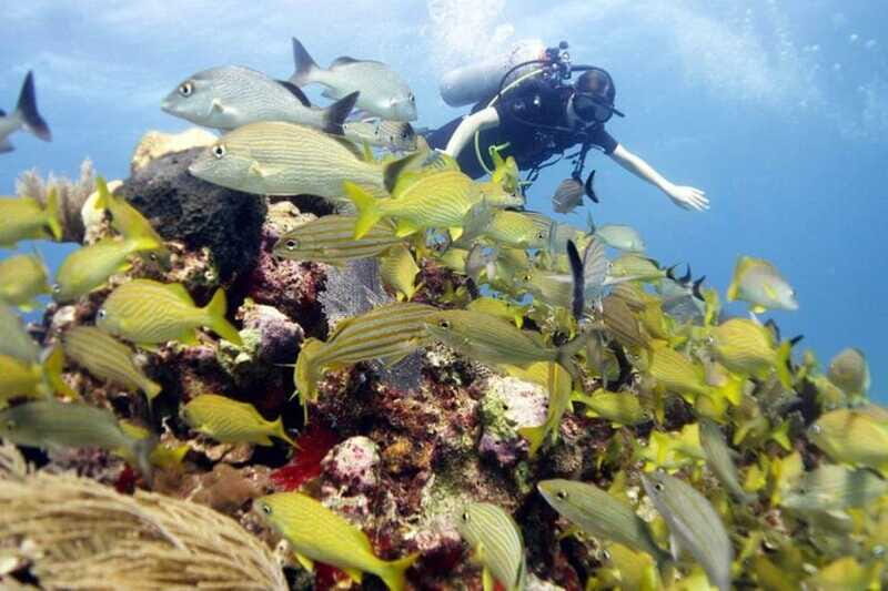 Isla Mujeres: PADI Open Water Diver Course - What’s Included and What’s Not