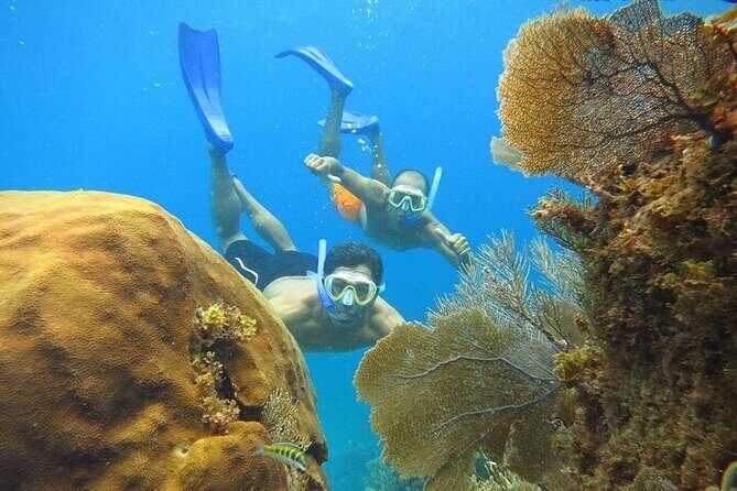 Isla Mujeres party on board! Catamaran,Lagoon,Snorkel & Downtown - Final Thoughts