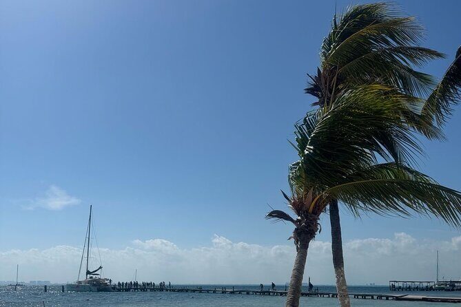 Isla Mujeres Plus Tour with Snorkeling Buffet and Open Bar - What the Reviews Say
