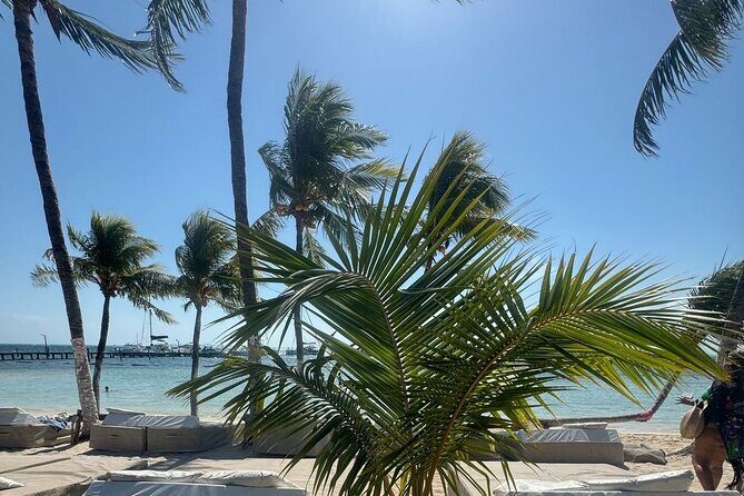 Isla Mujeres Plus Tour with Snorkeling Buffet and Open Bar - The Sum Up: Who Should Consider This Tour?