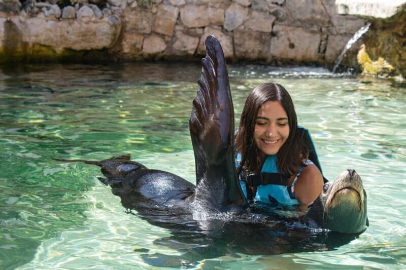 Isla Mujeres: Sea Lion & Manatee Interaction with Buffet - A Closer Look at the Experience