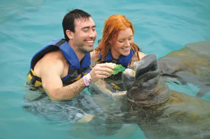Isla Mujeres: Sea Lion & Manatee Interaction with Buffet - The Practical Side: What You Need to Know