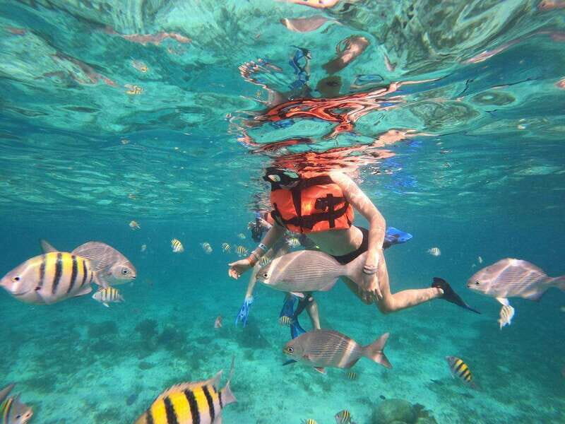 Isla Mujeres: Snorkeling Adventure at the Underwater Museum - Why This Tour Works