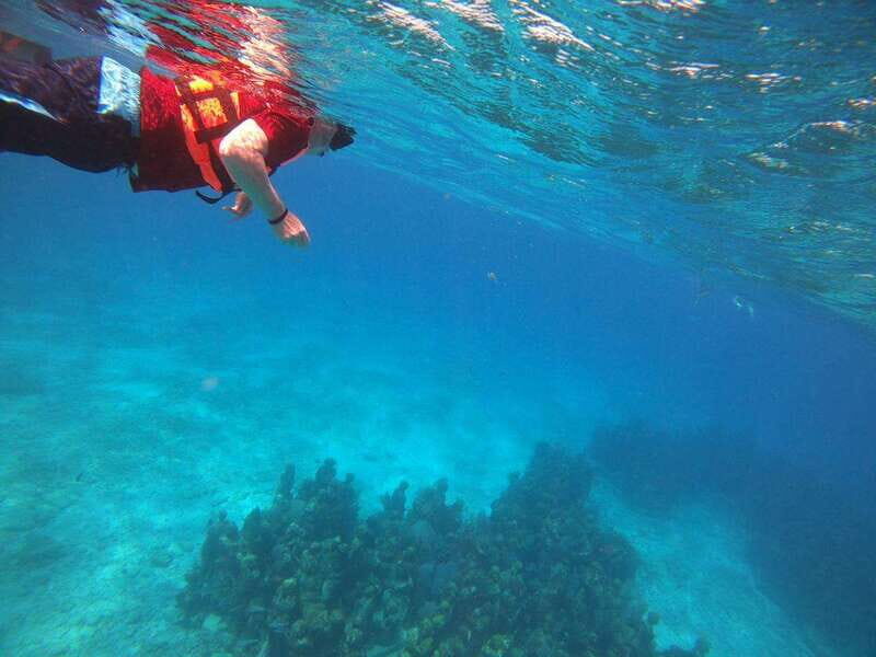 Isla Mujeres: Snorkeling Adventure at the Underwater Museum - Final Thoughts: Who Should Consider This Tour?