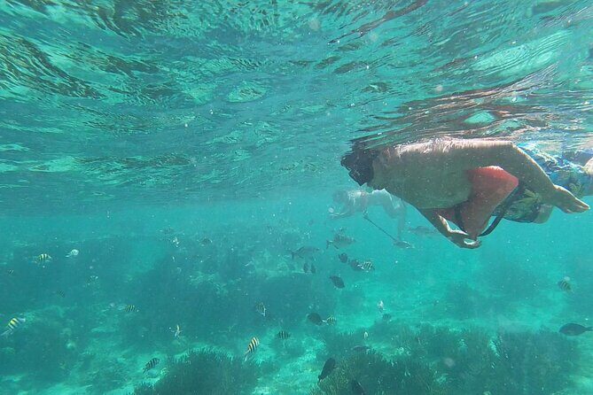 Isla Mujeres Snorkeling Adventure at the Underwater Museum - A Deep Dive into the Experience