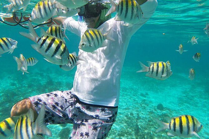 Isla Mujeres Snorkeling Adventure at the Underwater Museum - Who Should Consider This Tour?
