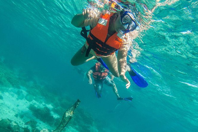 Isla Mujeres Snorkeling Tour Adventure - What’s Included and What to Bring