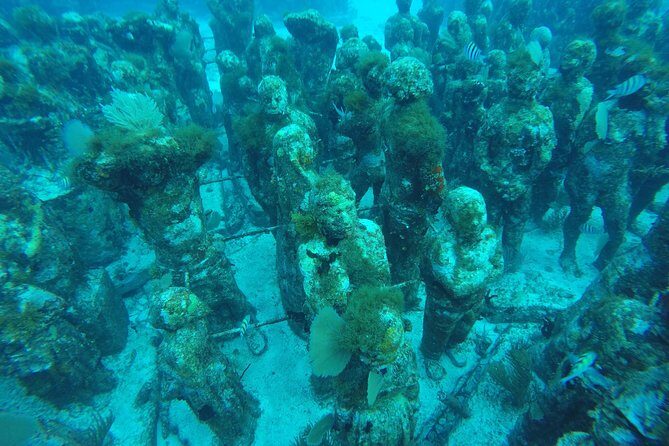 Isla Mujeres Snorkeling Tour Adventure - FAQ