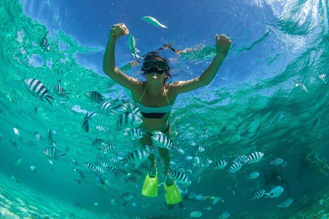 Isla Mujeres tour 12 p.m. Best time Less People - Practical Details & Cost Analysis