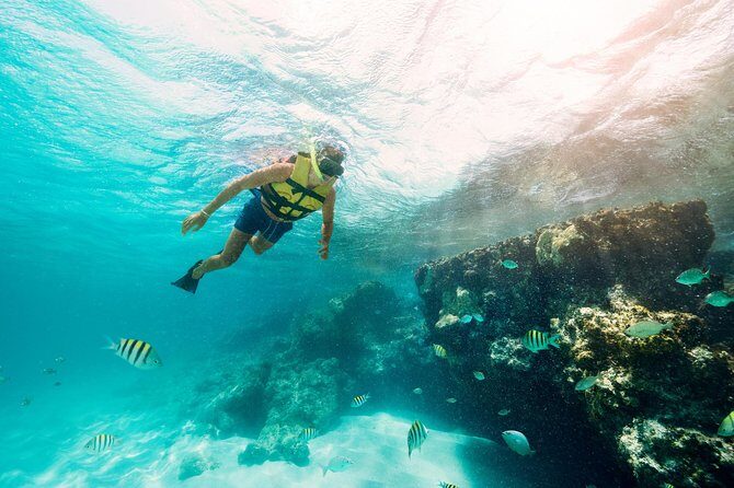 Isla Mujeres tour 12 p.m. Best time Less People - Why Choose This Tour?