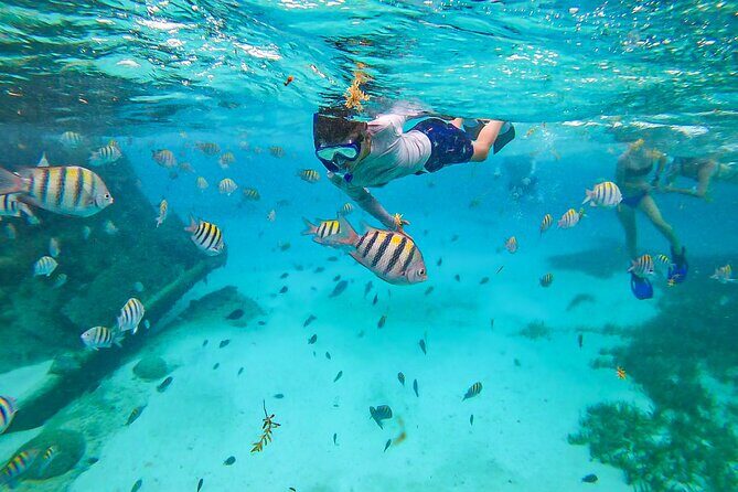 Isla Mujeres Tour, Snorkel and Golf Cart included - The Itinerary: What to Expect from Start to Finish