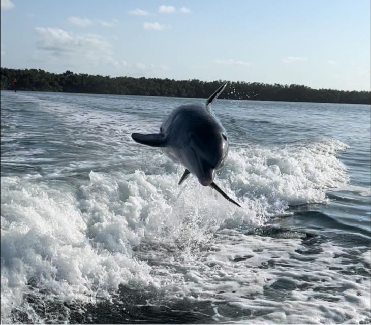 Islamorada: Private Snorkel & Sandbar Adventure - Key Points