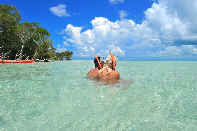 Island Adventure Eco Tour Explore Key Wests Hidden Backcountry - A Full Look at the Island Adventure Eco Tour