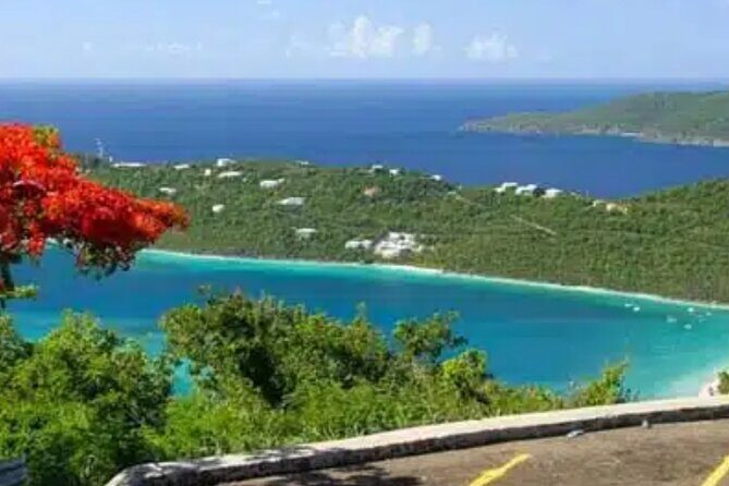 Island Buggy Excursions - The Experience: Why It’s a Hit