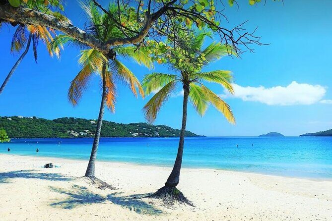Island Buggy Excursions - Who Will Love This Tour?